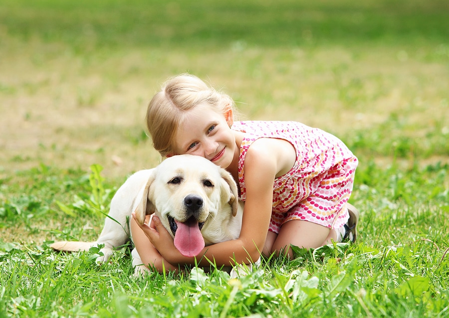 3 Tips for Creating a Safe Outdoor Space for Kids and Pets